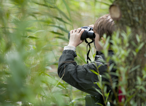 Boy explores nature reserve with binoculars, photo by Paul Harris/2020VISION