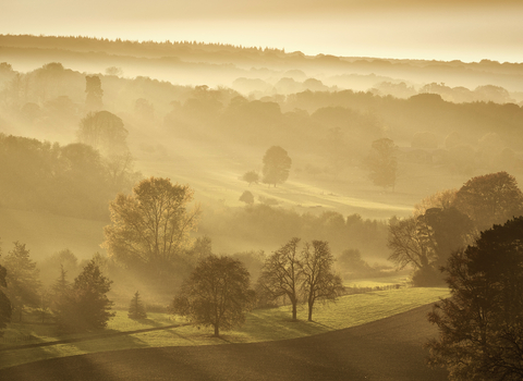 Chartham Down in the mist, photo by Ian Hufton