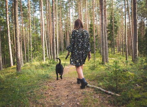 Walking a dog on a lead through woodland