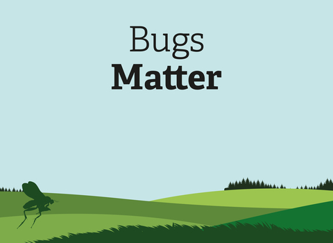 Take part in our Bugs Matter survey